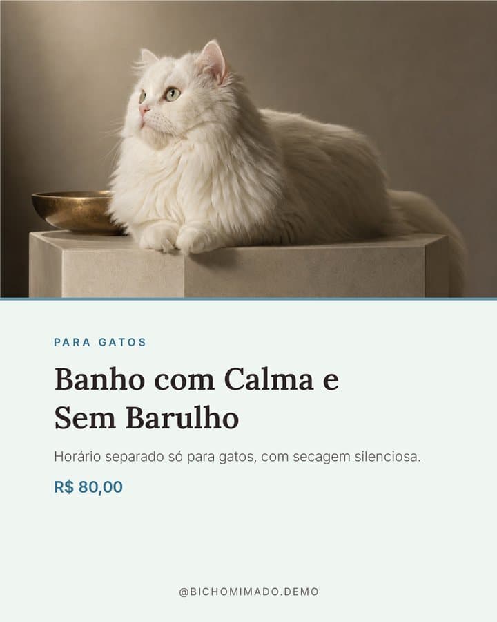 Arte de pet shop com banho para gatos, foto, descrição e preço